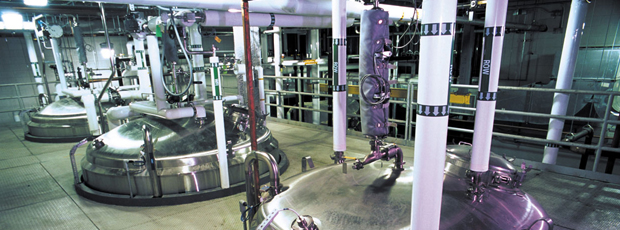 Large-Scale Pilot Plant Capability Large-Scale Pilot Plant Capability
